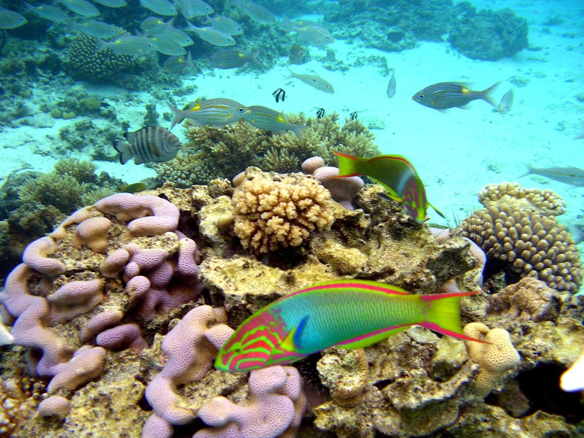 Sanctuary Rarotonga On The Beach (Adults Only) Esterno foto