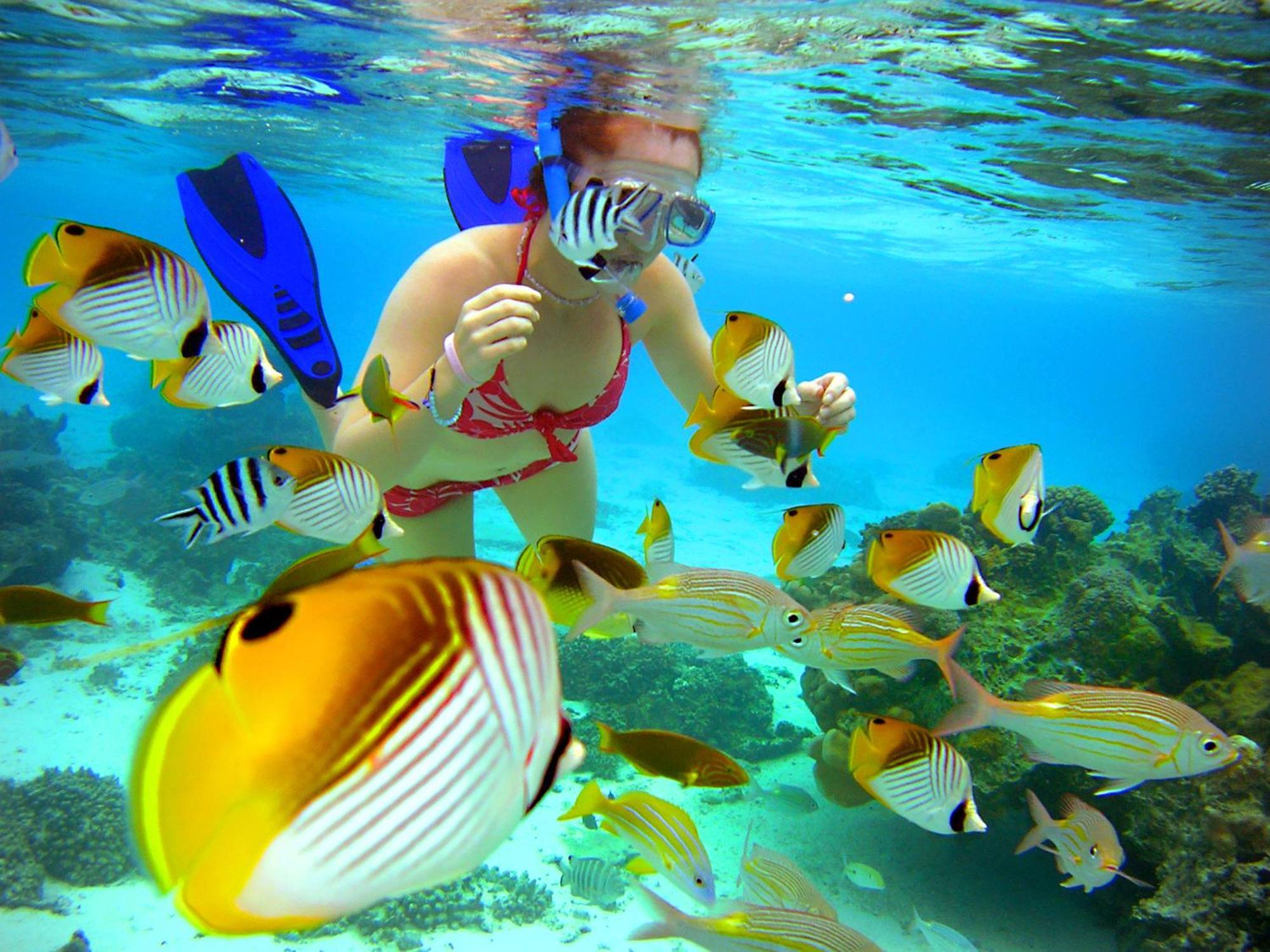 Sanctuary Rarotonga On The Beach (Adults Only) Esterno foto